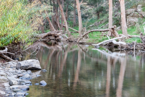 Ophir